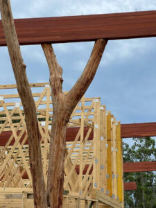 A justaposition of engineering & nature - glue laminated beams on natural tree posts